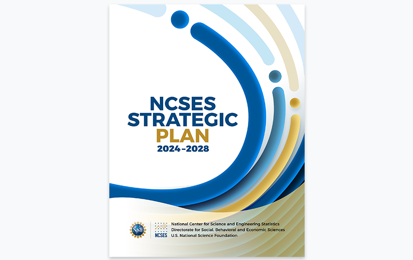 NCSES Strategic Plan&nbsp;.