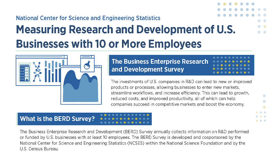 BERD Survey Overview