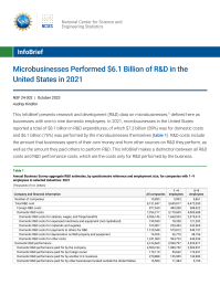 Microbusinesses Performed $6.1 Billion of R&D in the United States in 2021.